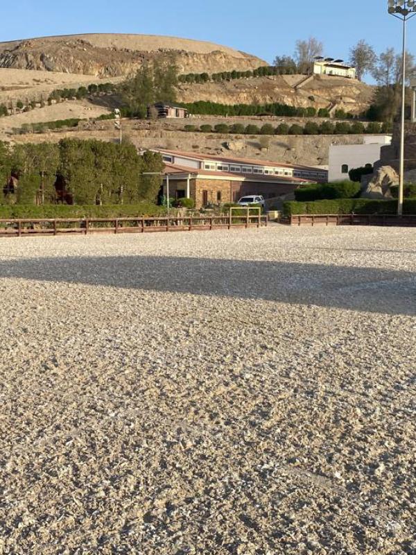 Al-Ghazzawi Equestrian Club