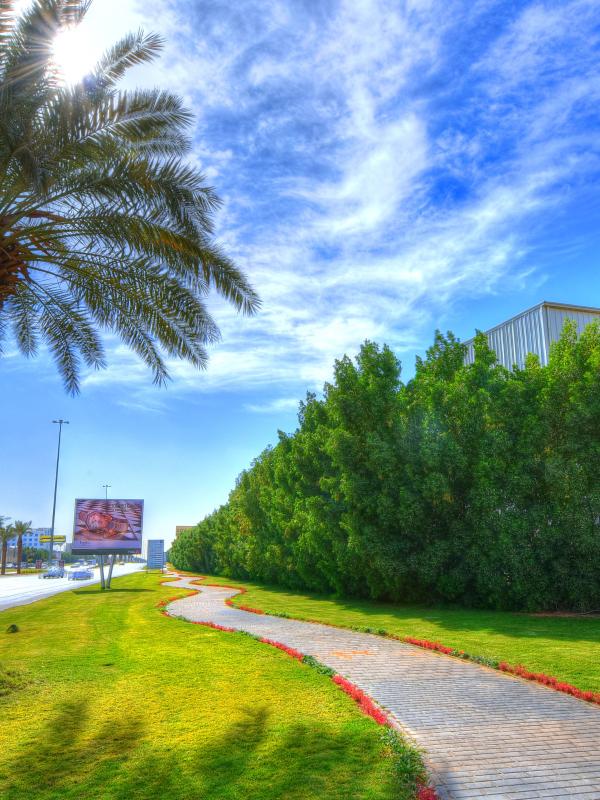 Modon Industrial City