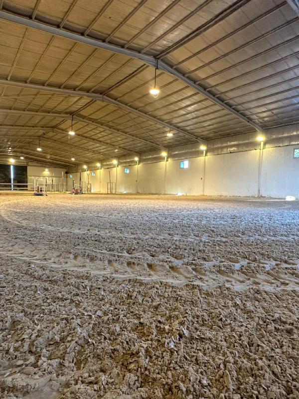 Princess Sara Bint Sultan Al-Saud