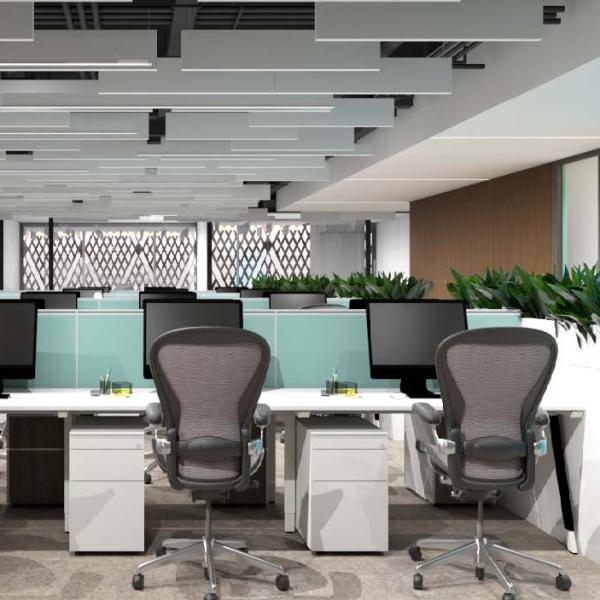 The Red Sea Development Co.